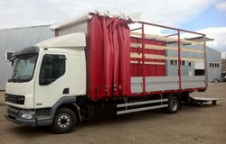 Тентованные грузовики DAF LF 45.220 12t Sleeper Cab Тентованные грузовики DAF LF 45.220 12t Sleeper Cab