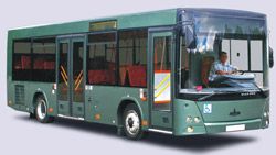 Городские автобусы МАЗ 206 Городские автобусы МАЗ 206