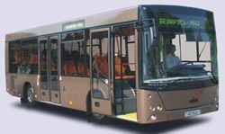 Пригородные автобусы МАЗ 226 Пригородные автобусы МАЗ 226