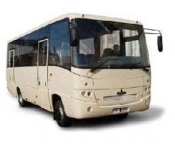 Пригородные автобусы МАЗ 256170 Пригородные автобусы МАЗ 256170