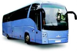 Туристические автобусы МАЗ 251050 Туристические автобусы МАЗ 251050