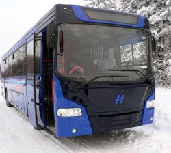 Пригородные автобусы Неман 520123-250 Пригородные автобусы Неман 520123-250