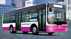 Городские автобусы Golden Dragon XML6105-CNG