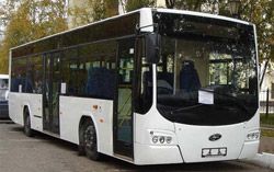 Городские автобусы Олимп midi Городские автобусы Олимп midi