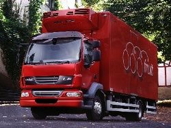 Шасси DAF LF 45.220 Шасси DAF LF 45.220