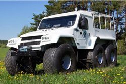 Вездеходы, снегоболотоходы Трэкол 39295 (Hyundai D4BF) Вездеходы, снегоболотоходы Трэкол 39295 (Hyundai D4BF)
